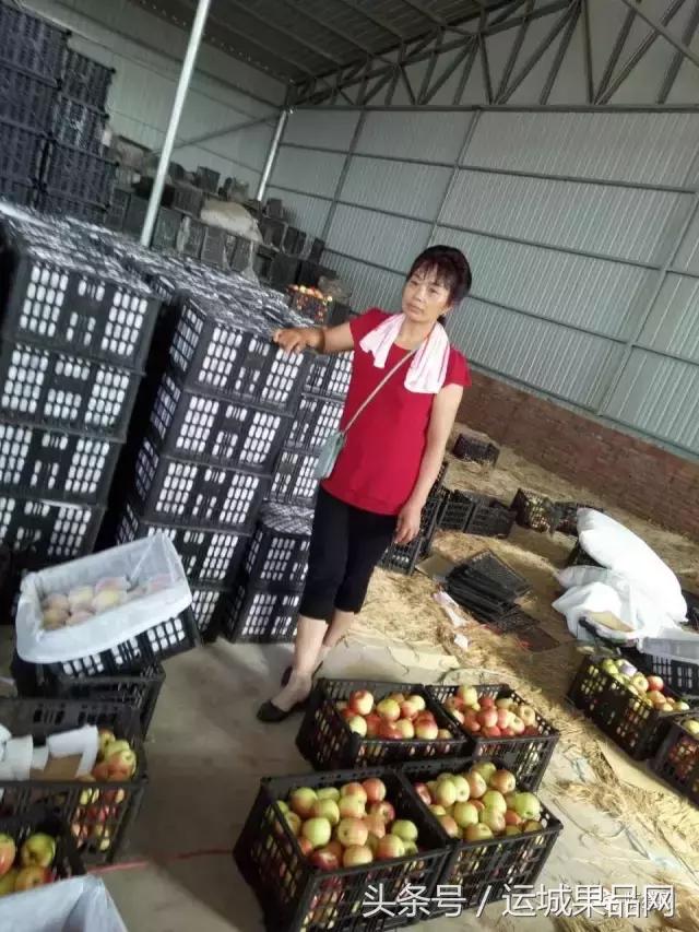 临猗北辛，四季更迭的天气画卷