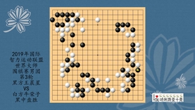 夸赞围棋比赛中的高手，技艺、智慧与风度的完美融合