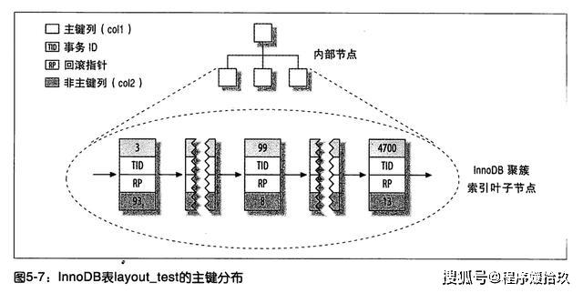 体育与健康关系的深度剖析，从理论到实践的桥梁