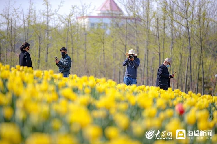 春日绽放，明开花卉的绚烂画卷