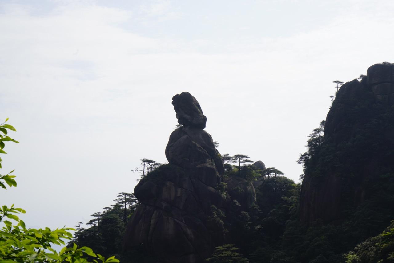 三清山蟒蛇出山事件后续，生态保护与旅游管理的双重挑战