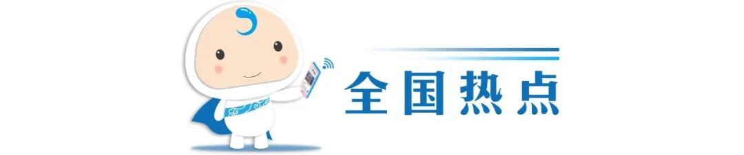 保险女王，在奇优平台上绽放的金融智慧之花