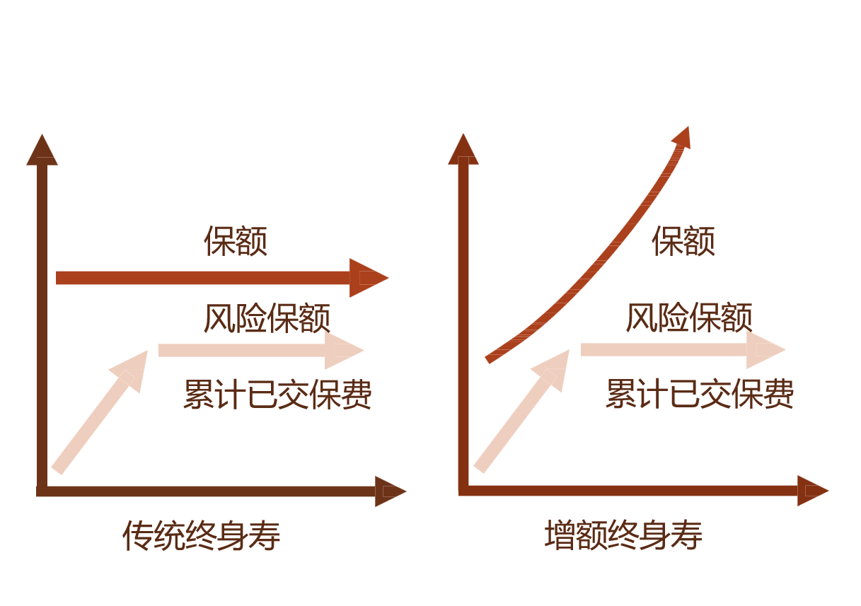 保险续期提升方案，构建客户忠诚与价值增长的桥梁