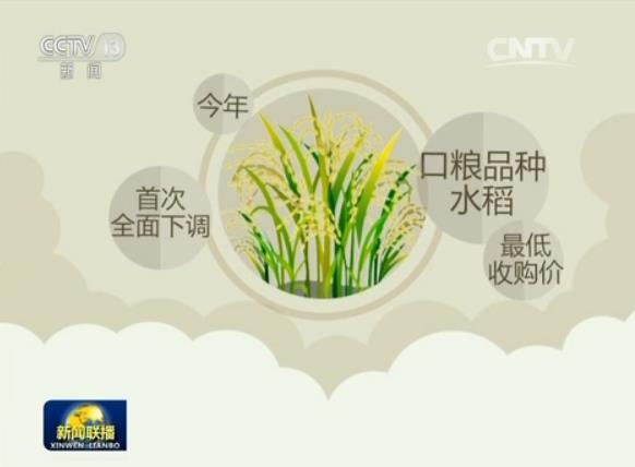 德宏本地早教，价值与价格的双重考量