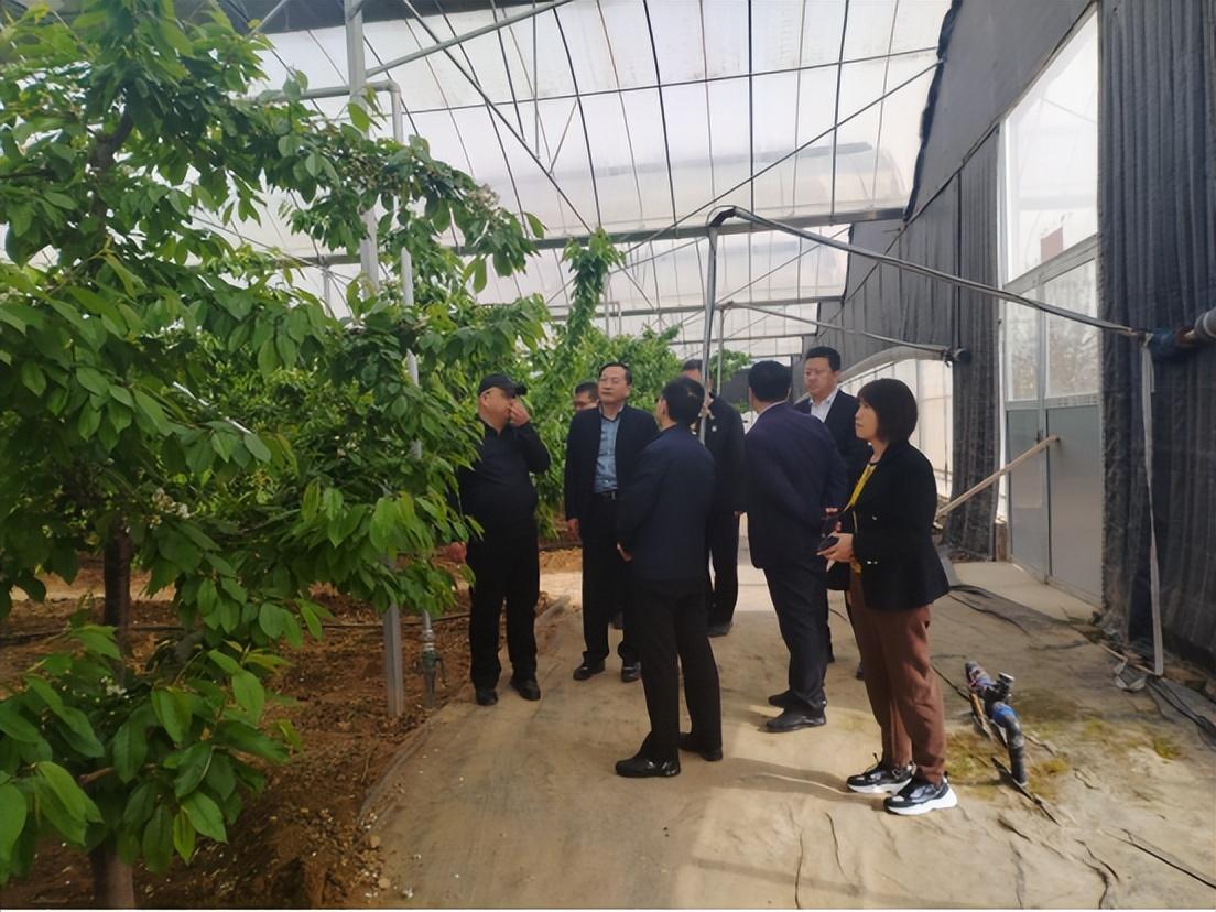 碧山路上的绿意盎然，探索园艺餐厅的独特魅力