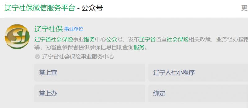 沈阳养老保险电话查询指南，轻松掌握您的养老保障信息