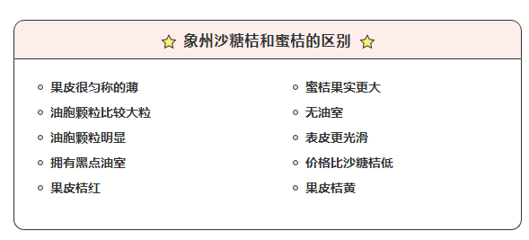 永胜房产公证查询网，透明、高效、安全的房产交易新选择