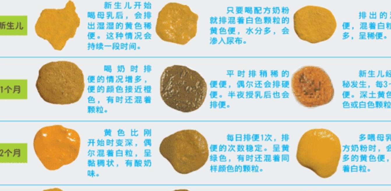 健康的黄金信号，解读大便颜色的秘密