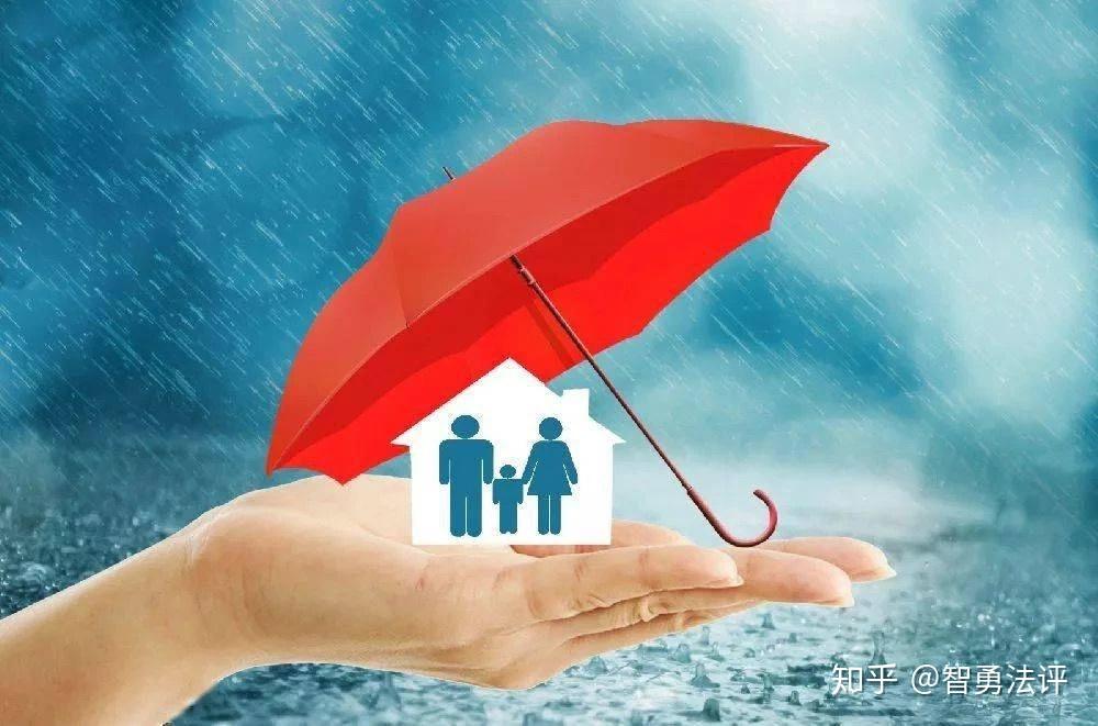 小麦保险护航，为农民的希望撑起保护伞