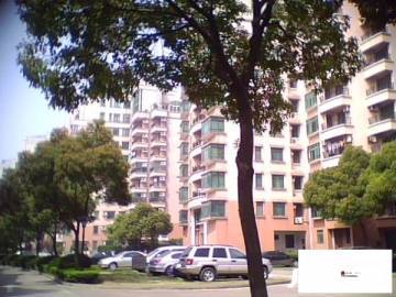观景苑，城市绿洲中的早教乐园