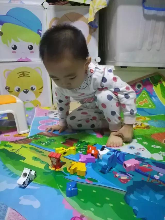 探索可可狮早教包，为宝宝成长插上智慧的翅膀