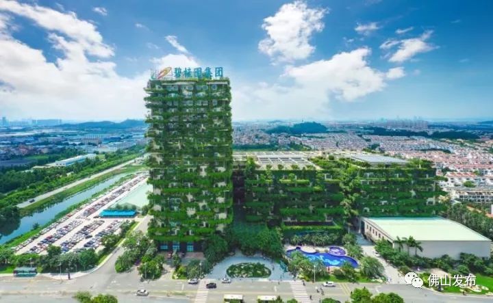 探秘佛山，揭秘那些隐藏在都市绿意中的健康果汁秘境