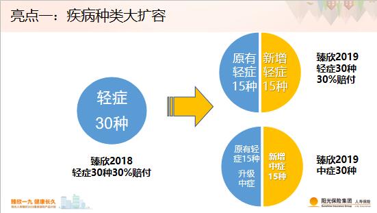 探秘遂溪阳光保险，阳光下的守护者——地址与服务的深度解析