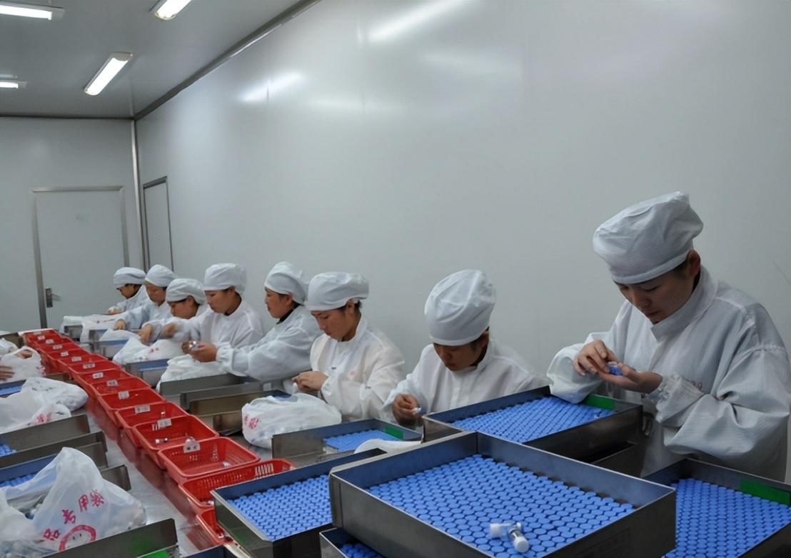 探索新华药厂附近的早教新选择，为宝宝开启智慧之旅