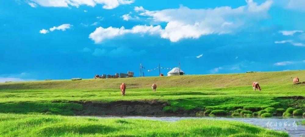锡盟华夏保险，守护草原的金融守护者