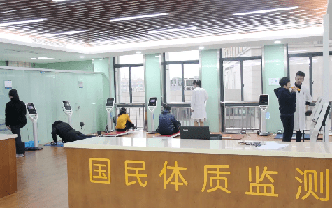 体质健康标准表格，构建健康生活的基石
