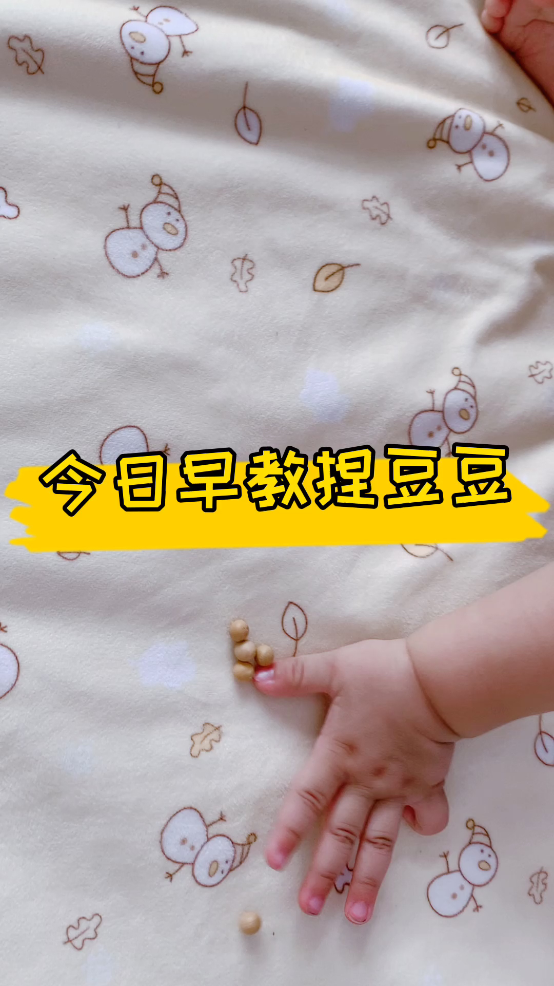 豆豆儿童早教，播种未来，从豆开始