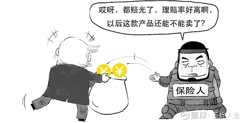 理性审视，理才保险的安全性解析