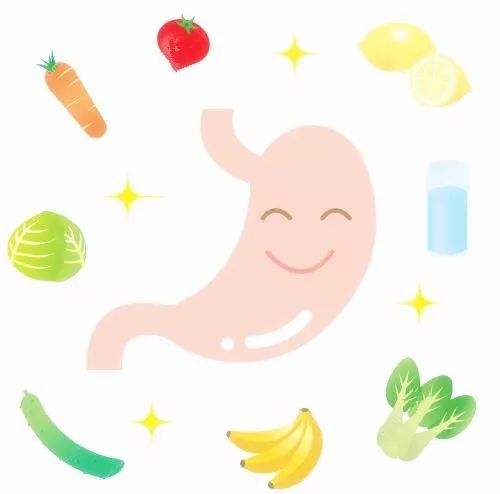 怎样改善胃部健康，从日常习惯到饮食调整的全面指南