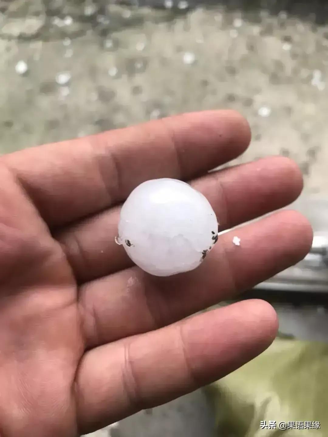 烟台冰雹视频，一场突如其来的自然之怒