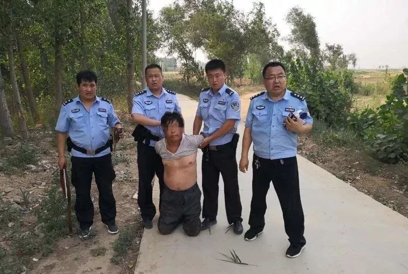 揭露与反思，南皮县小安村苑中峰犯罪案件的深度剖析