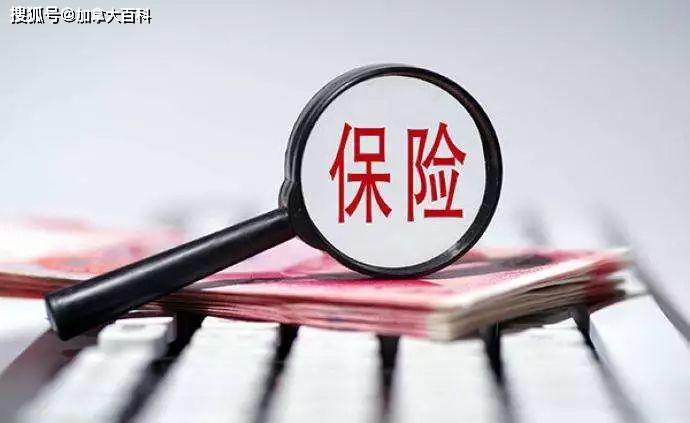 买保险的特色，为未来护航的智慧选择