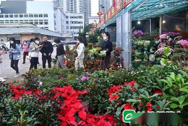 汕头市花卉市场，城市绿意的活力源泉